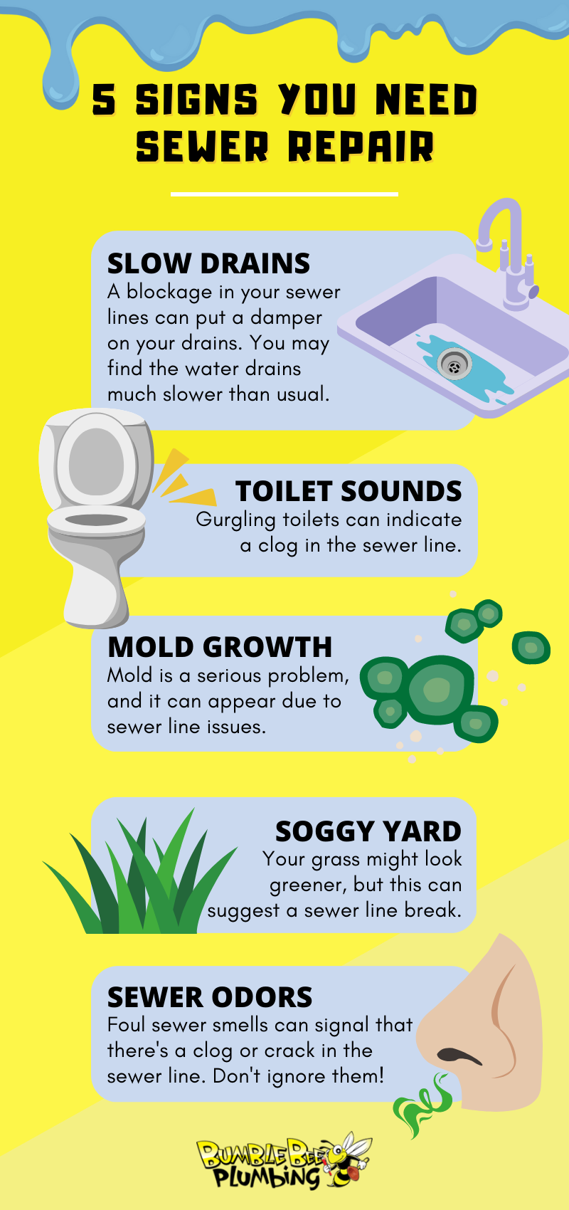 Five-Signs-You-Need-Sewer-Repair